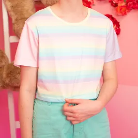 Pastel Rainbow Crop Top