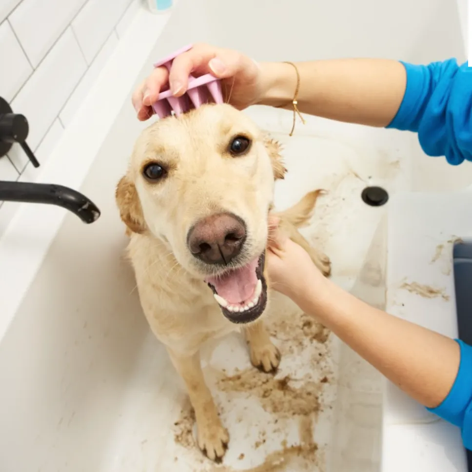 The "Fur-Massager" Soft Silicone Shampoo Brush for Dogs